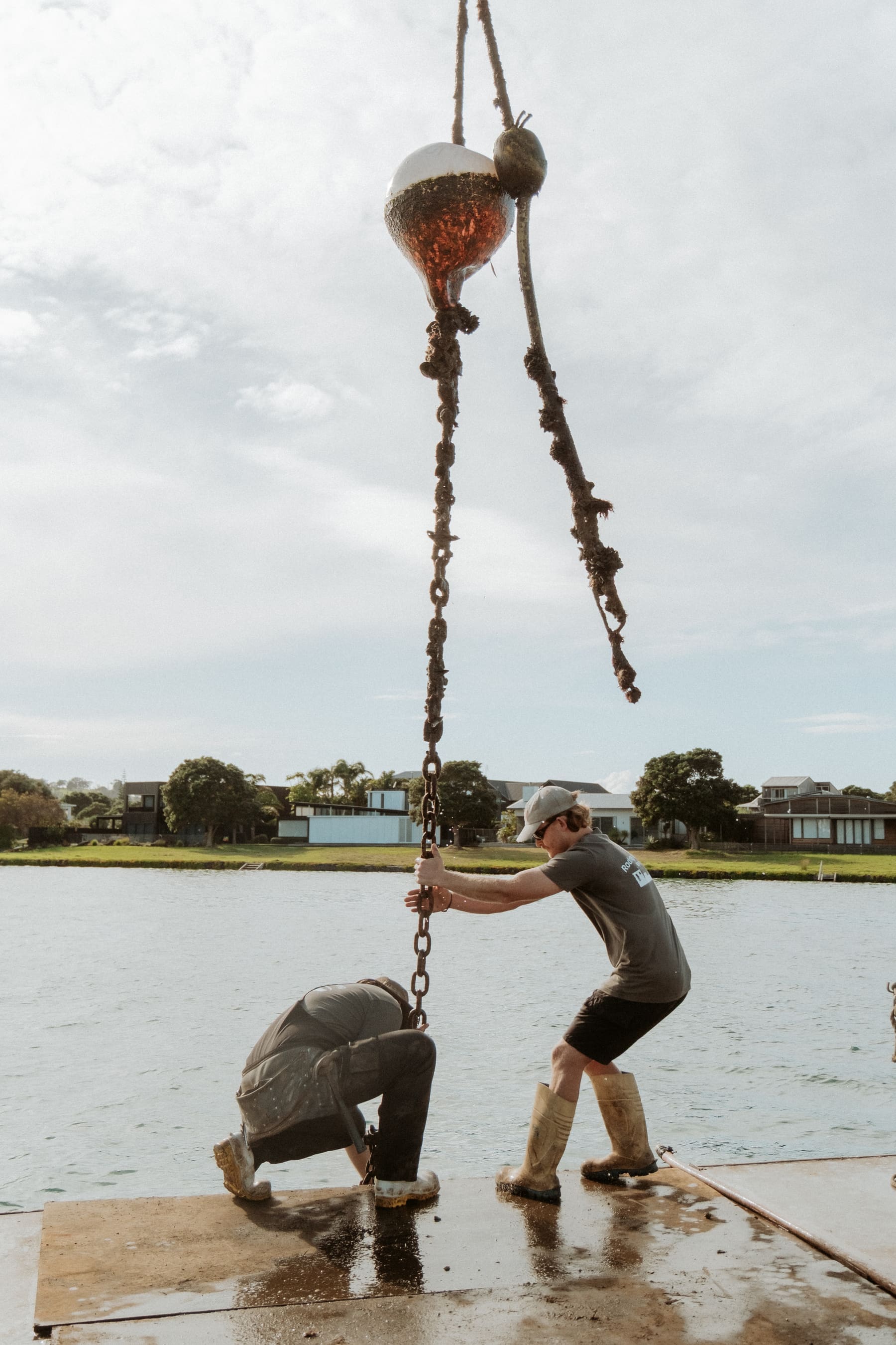 Jack servicing a swing mooring on the Rodney coast